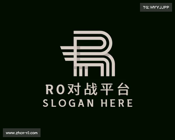 关于r0对战平台